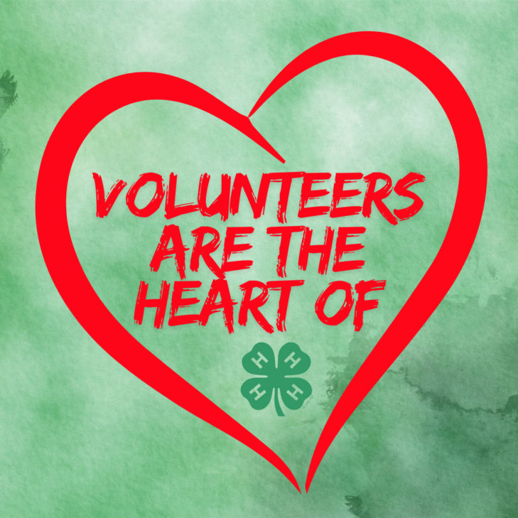 Volunteers are the heart of 4-H