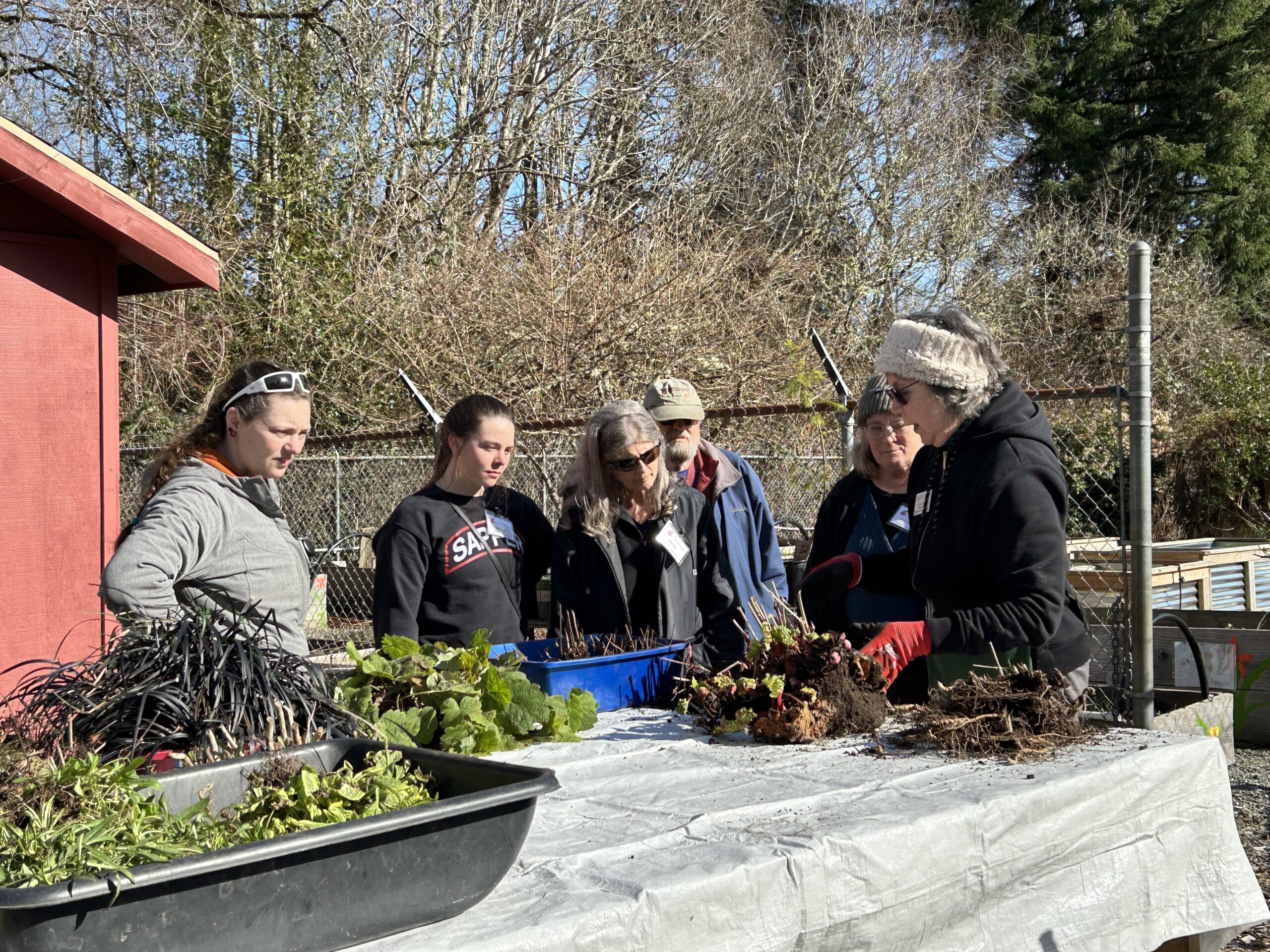 WSU Master Gardener trainees learning about propagation at Dirt Works. 