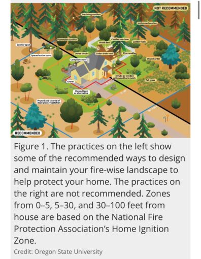 firewise garden permimenter