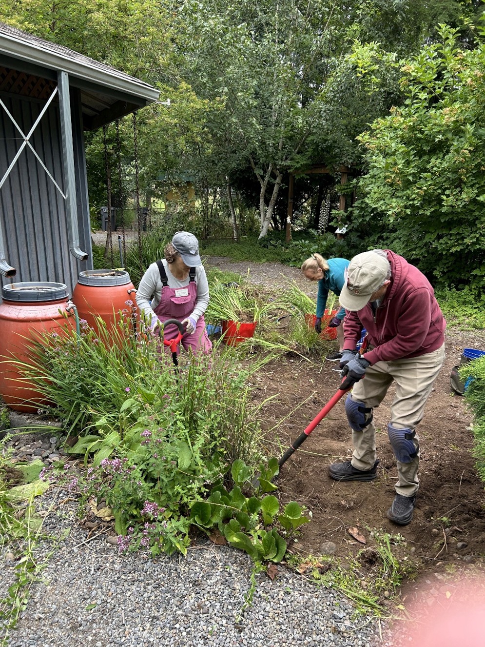 Volunteers remove an outdated rain garden to be replaced with a new Firewise garden demonstration at our Dirt Works Demonstration Garden. 