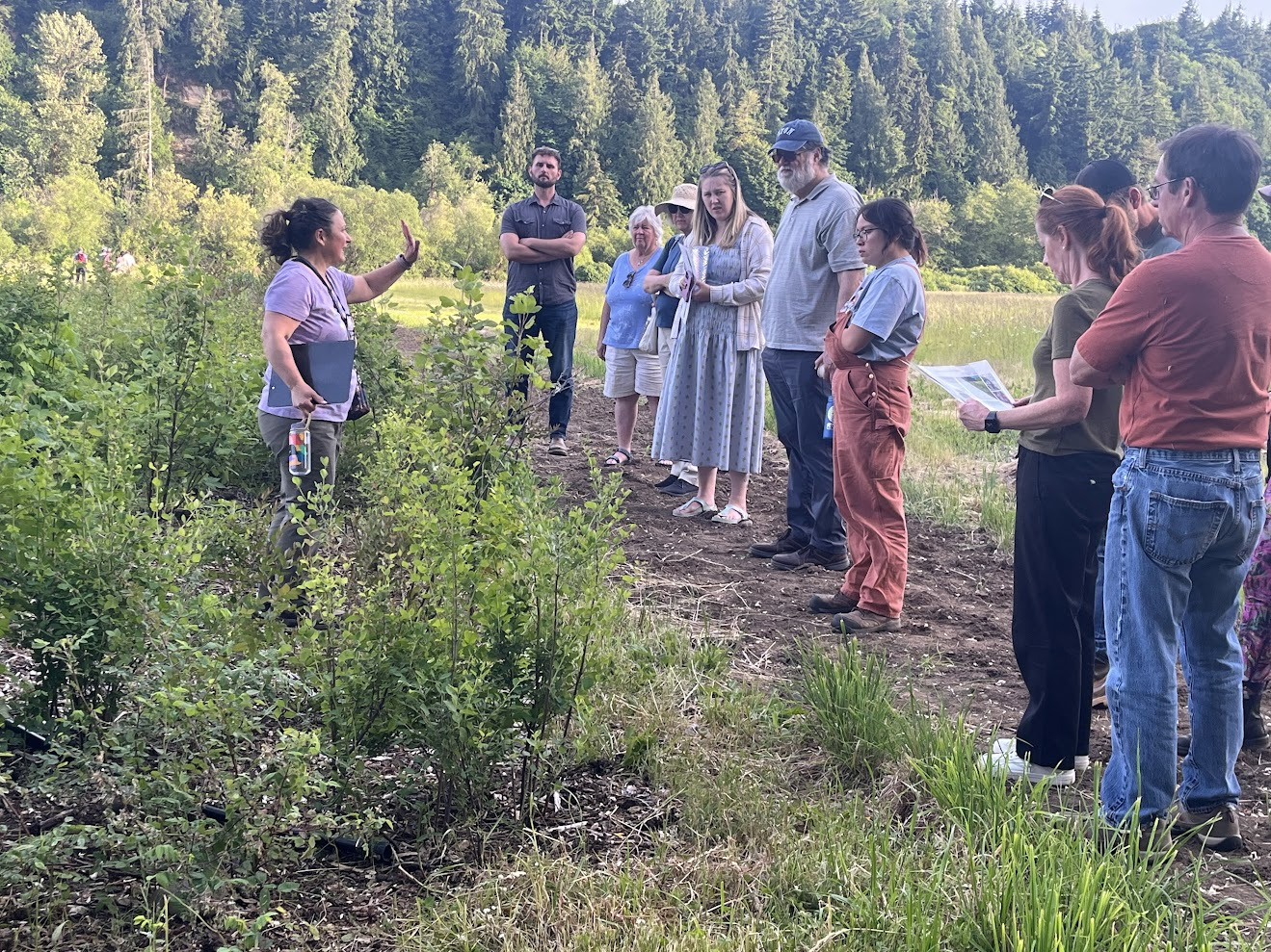 People listening to WSU's Erica Guttman at a hedgerow