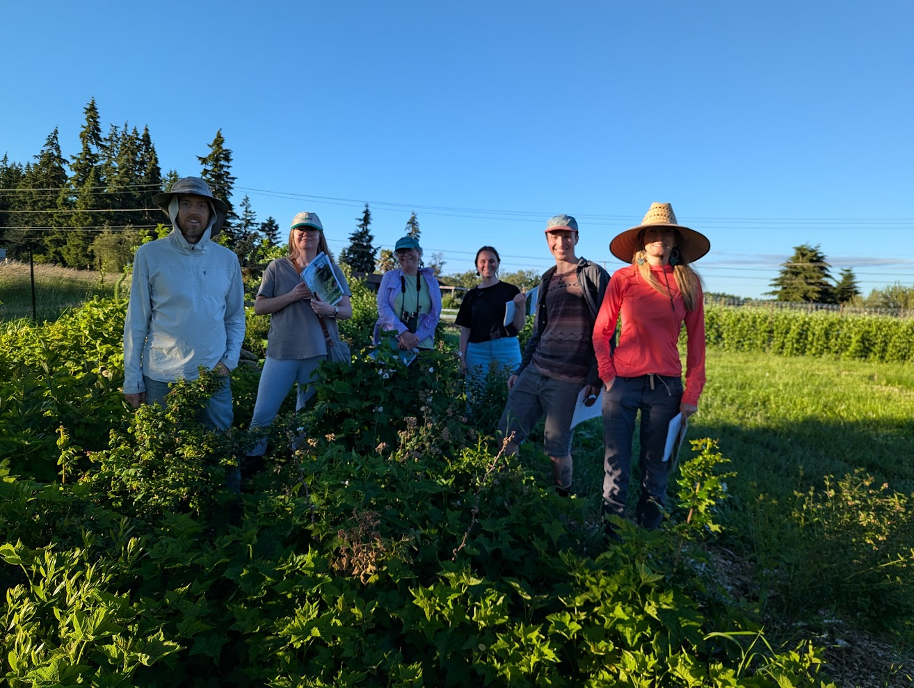 People at a hedgerow demonstration