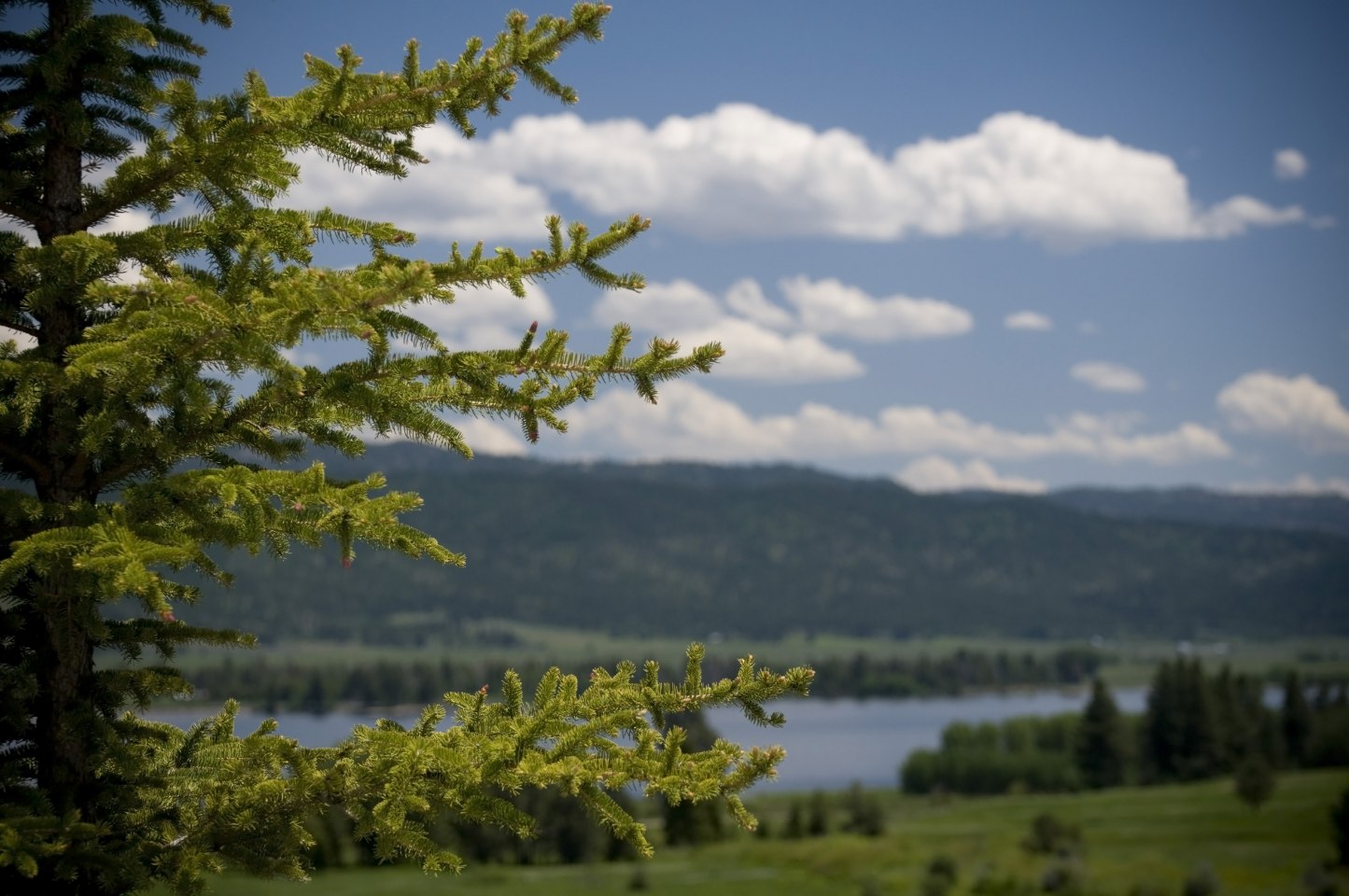 Lake from a distance surrounded by trees and hills.