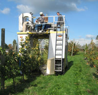 people working on mechanical harvester