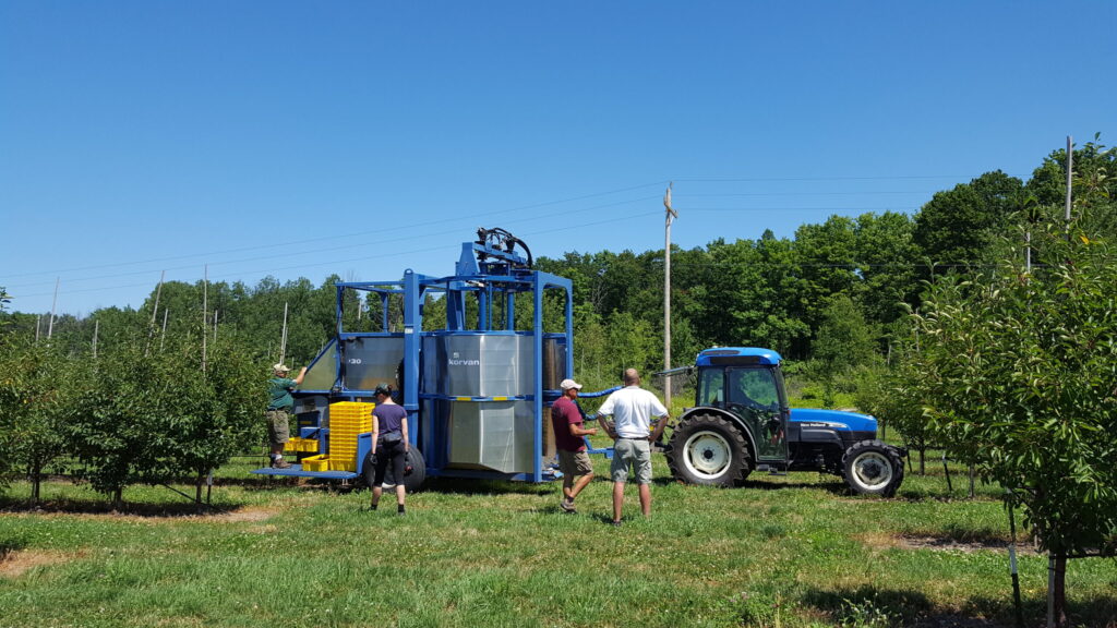 people working tree fruit harvester