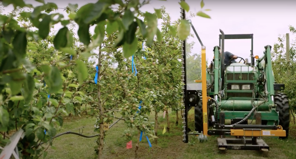 person operating mechanical hedger