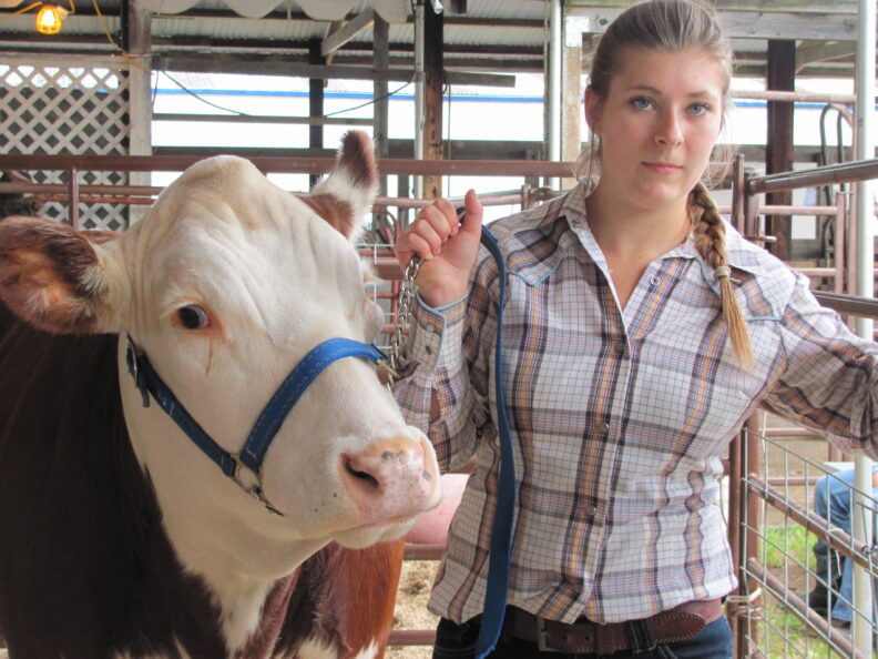 4-H Youth Club member with cow