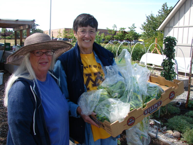 Master Gardner volunteers working with Friday Harbor Food Bank
