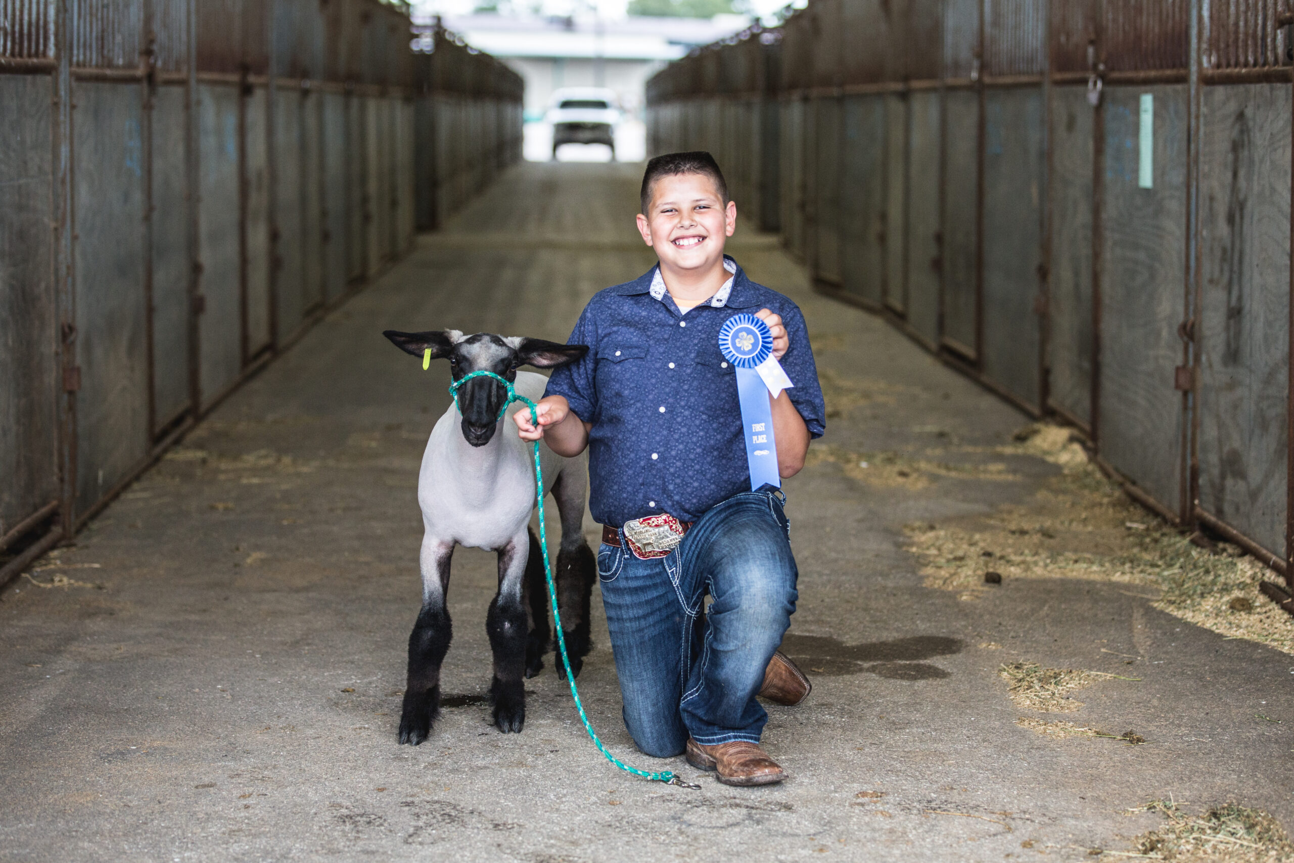 Young boy next to a lamb proudly displaying a blue ribbon