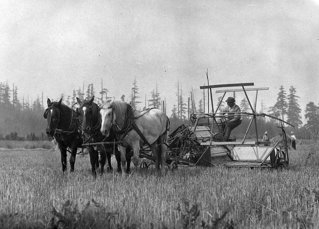 Horse drawn farming equipment and farmer on Beck Farm on Orcas Island in the year 1920