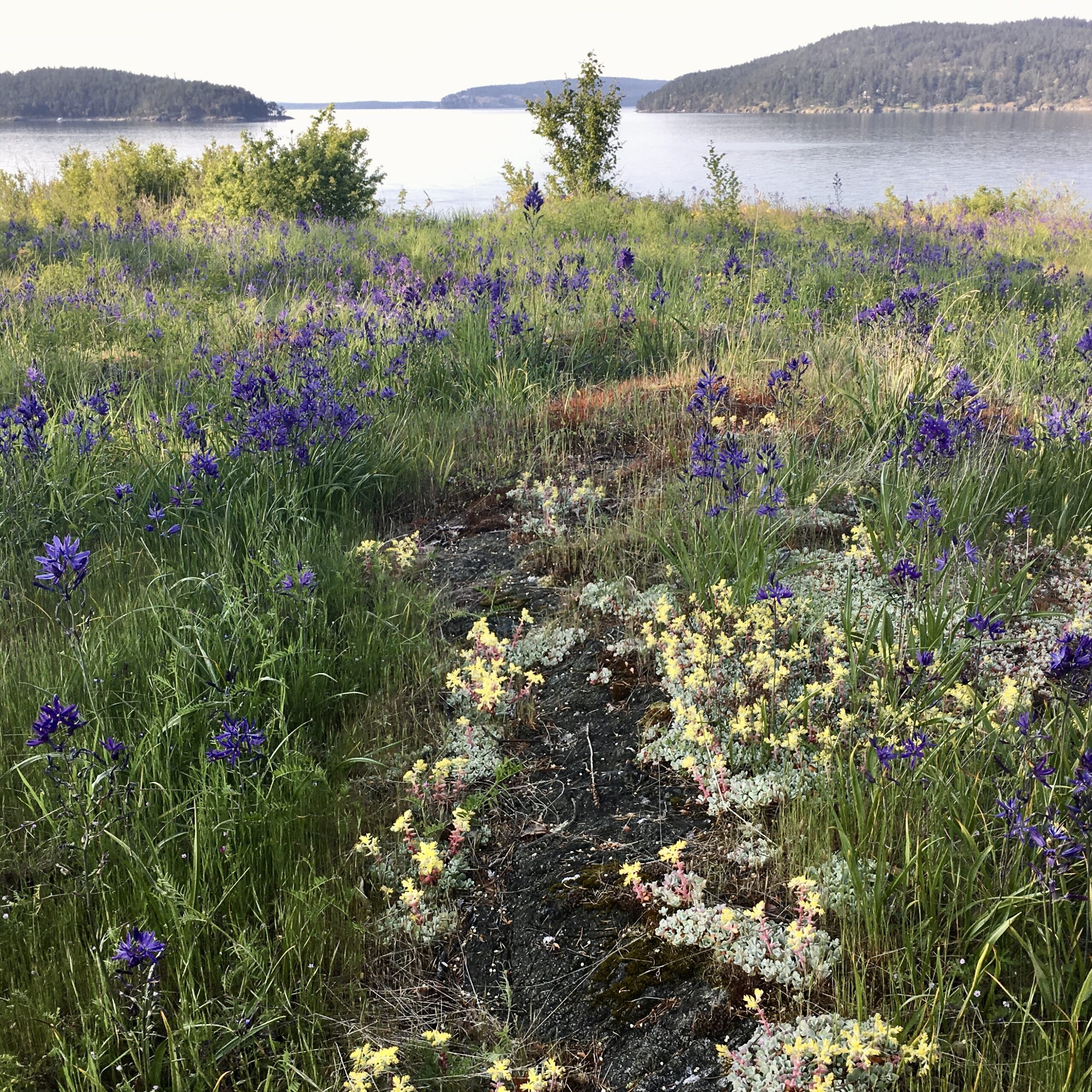 Master Gardner Program