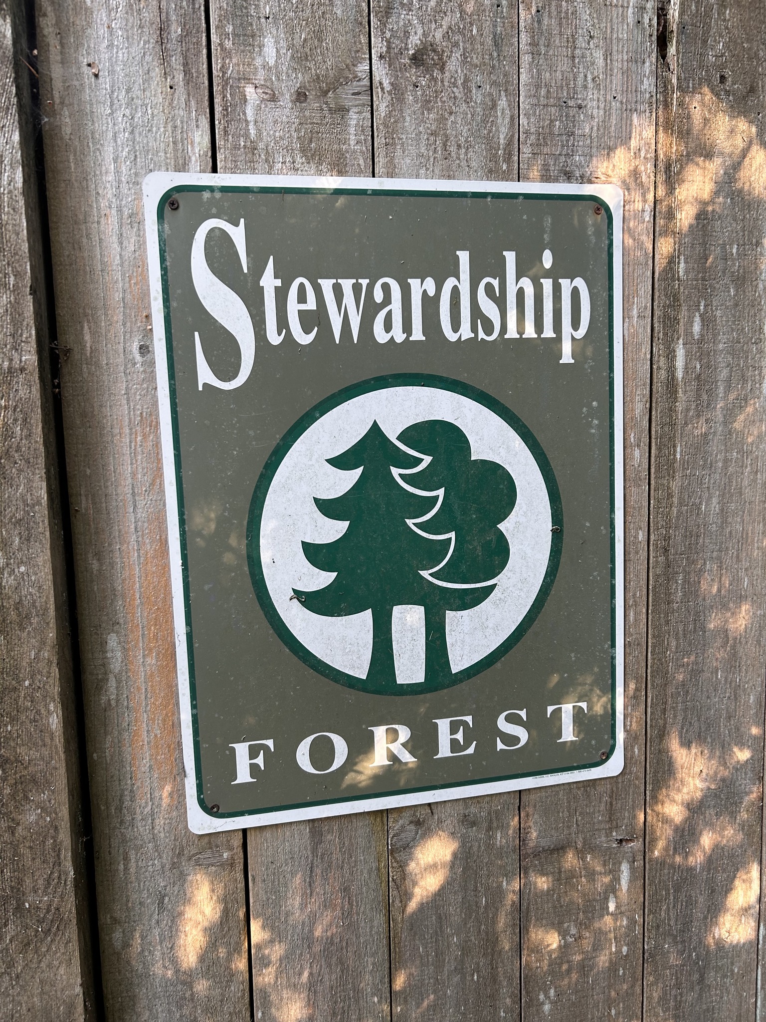 Sign posted on side of wood wall that says "Stewardship Forest"