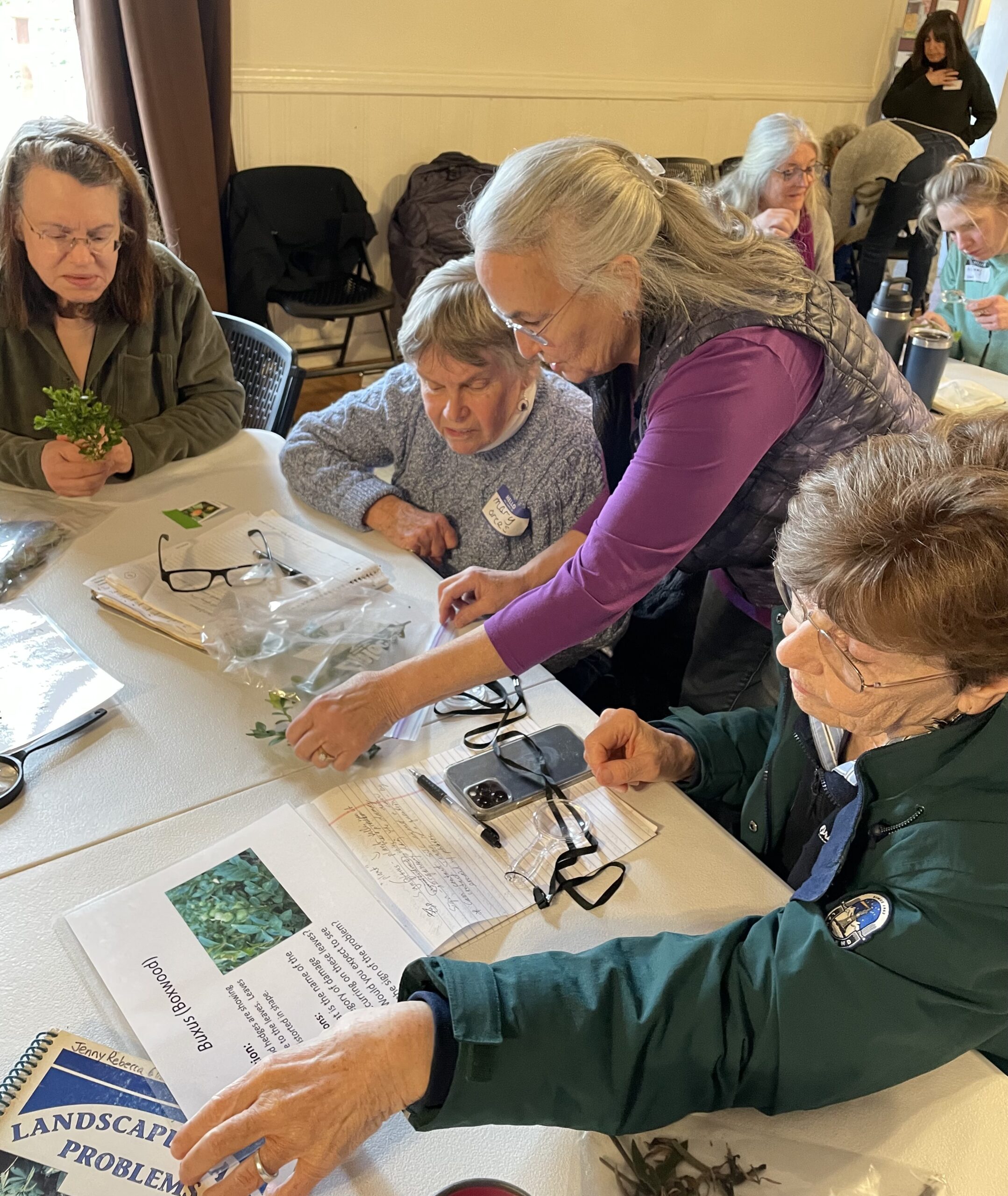 Several Master Gardeners looking at plant samples at a diagnostic clinic