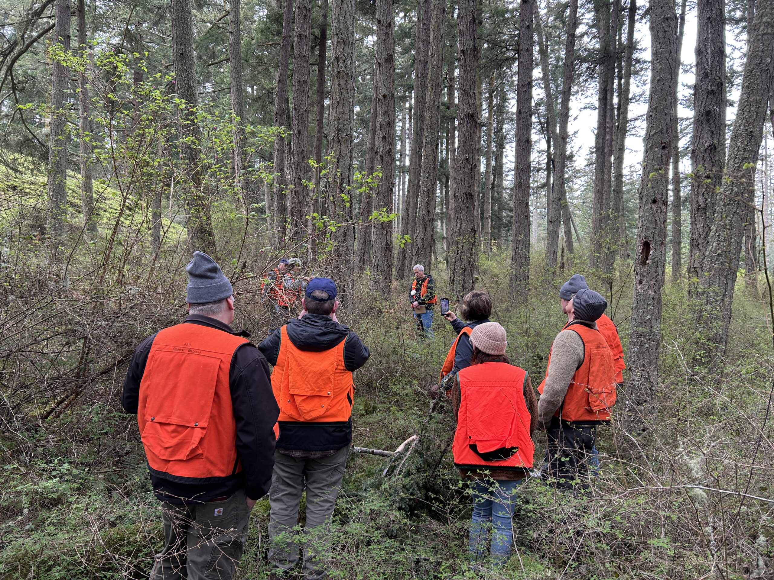 Forestry workshop in San Juan County