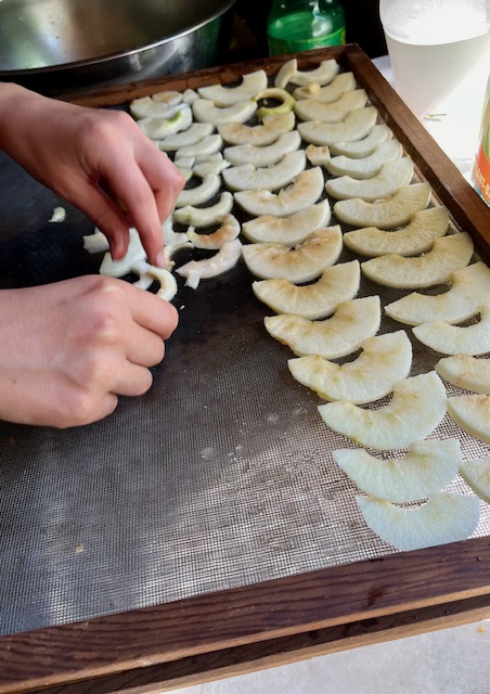 Food preservation program