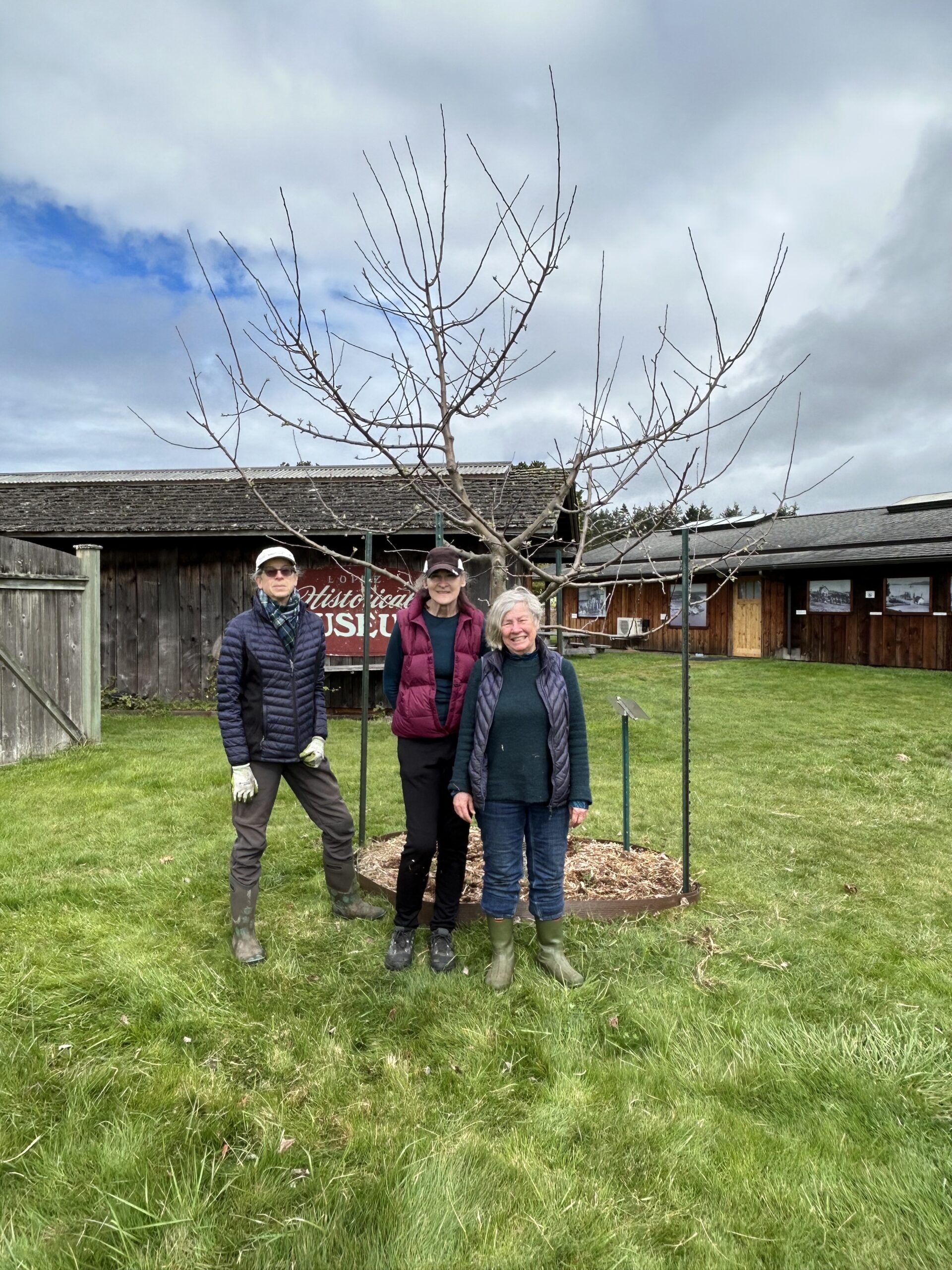 San Juan County Master Gardener volunteers at the Lopez Heritage Apple Orchard which they maintain.