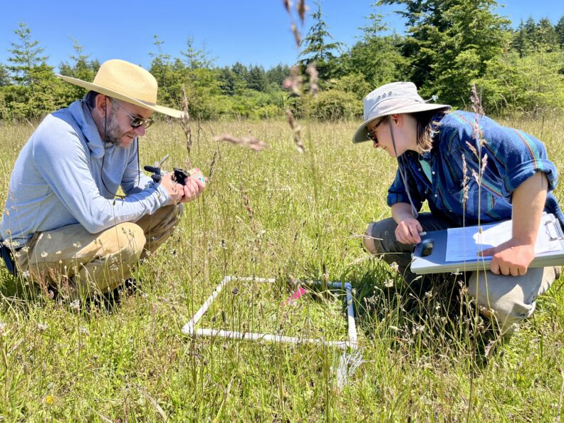 Scientists studying pasture prairie on a San Juan County site