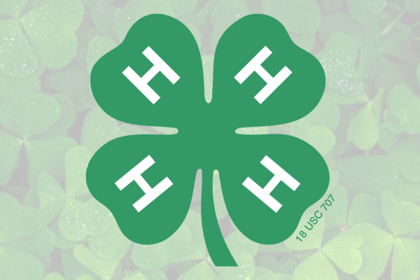 4-H Clover Logo