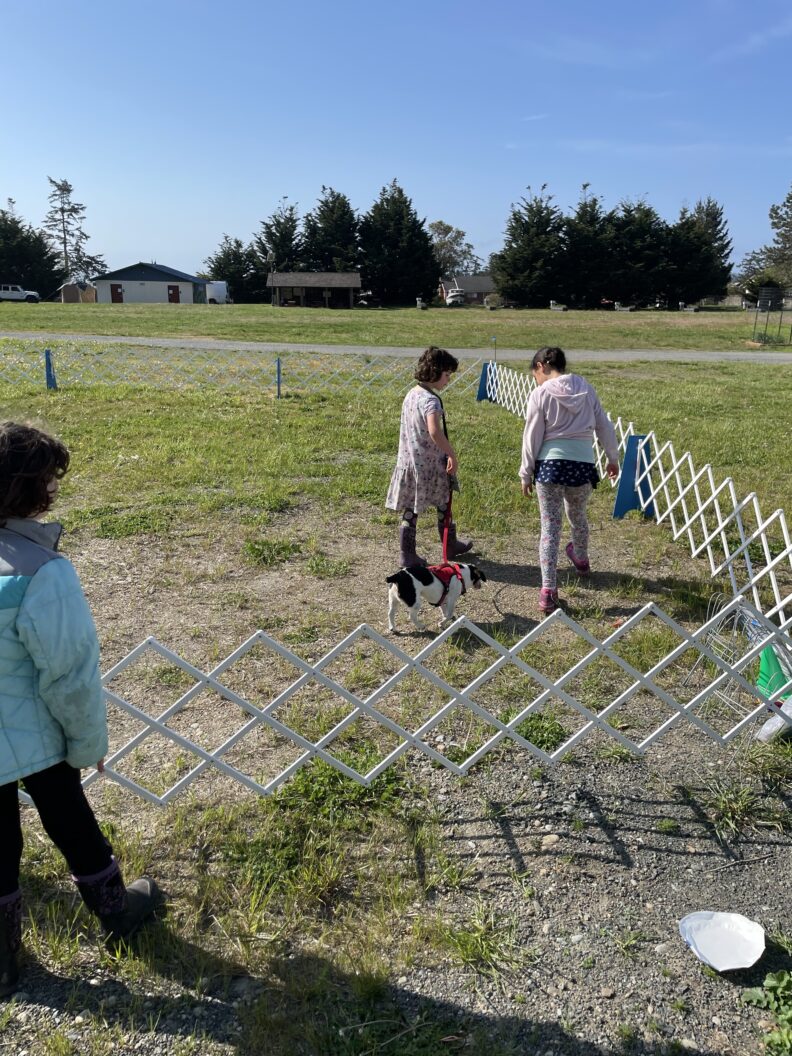 A youth member shows another youth member how to show a dog