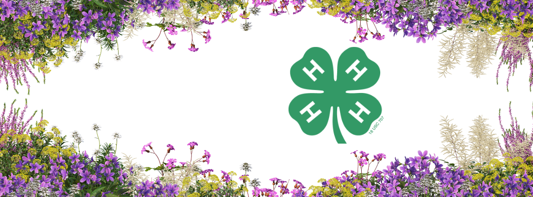 Purple Flower Border with 4-H Logo in Center