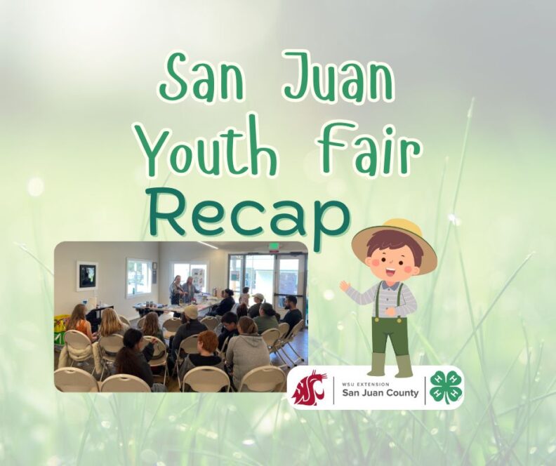 San Juan Youth Fair Recap graphic showing attendees at an indoor event, alongside WSU Extension and 4-H logos, and a cartoon child.