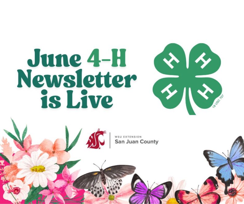 Image announcing the June 4-H Newsletter is live, with a 4-H clover, flowers, and butterflies.
