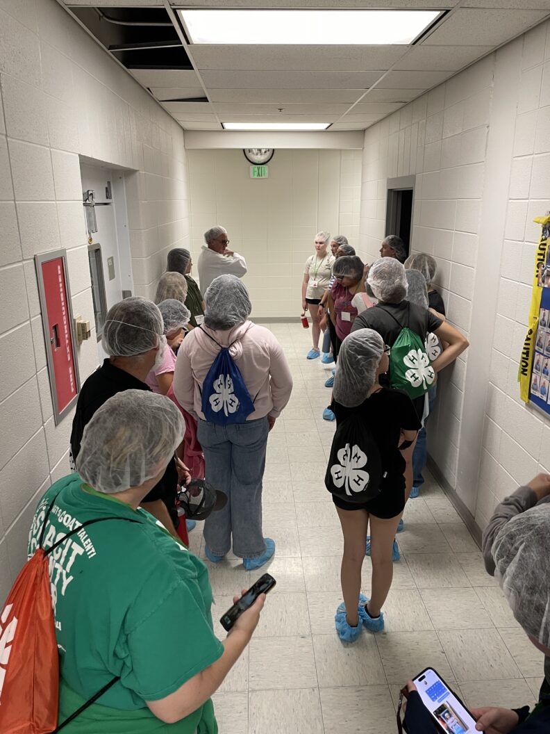 A group of youth and adults in hair nets and booties touring the WSU Creamery. 
