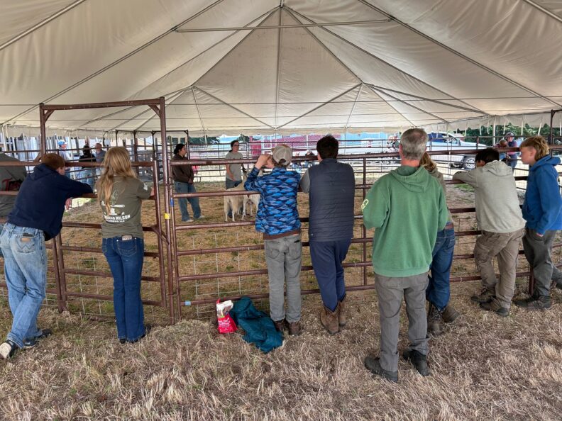 A group of youth and adults learn about dairy goat showing from a 4-H alum. 