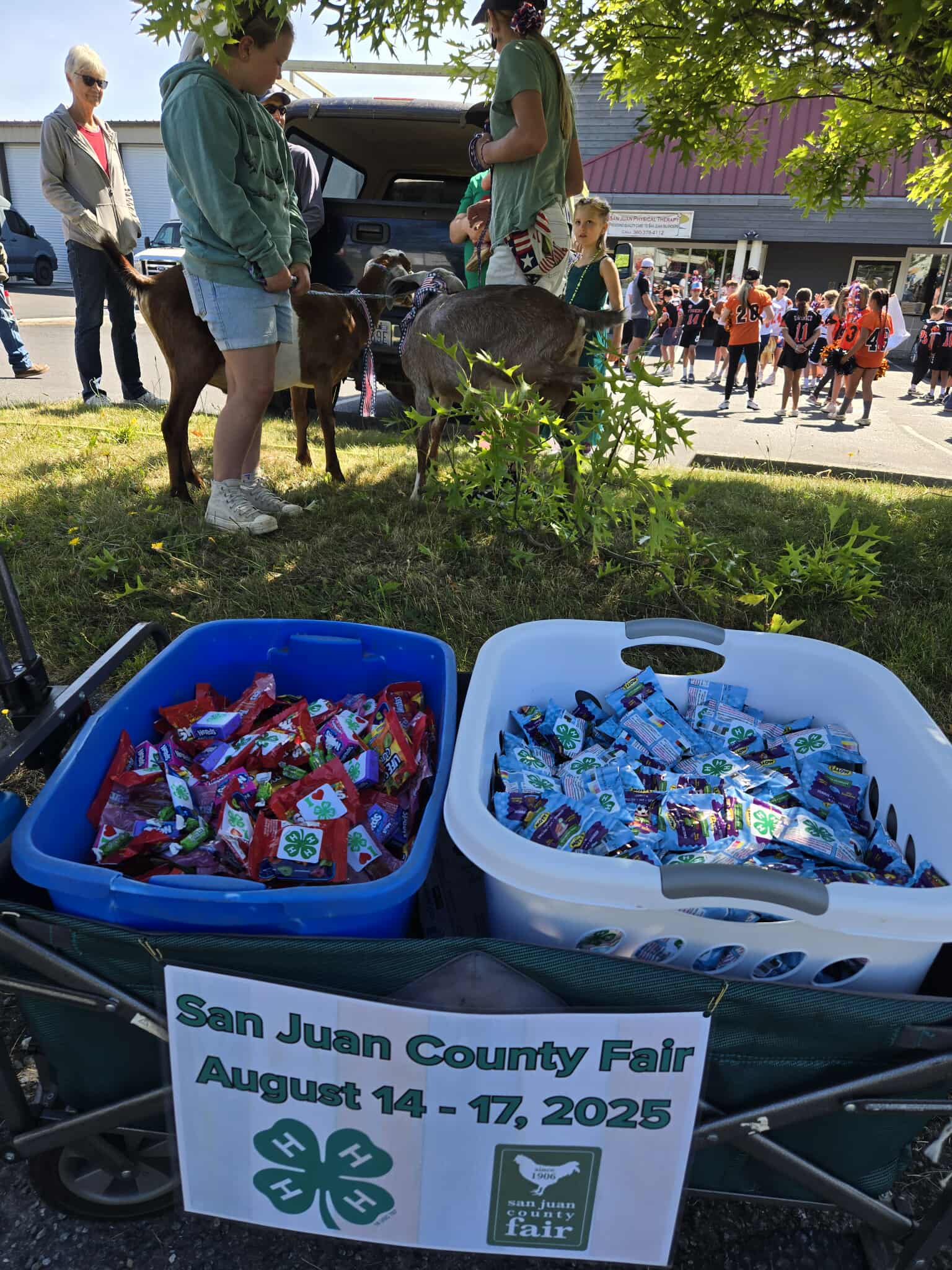 A close-up of two bins filled with candies or snacks, with a sign advertising the 'San Juan County Fair August 14 - 17, 2025' and a 4-H logo. People and goats are visible in the background.