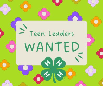 Flyer with 'Teen Leaders WANTED' and a 4-H clover logo on a floral background.