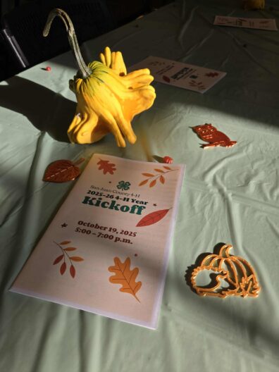 Autumnal table centerpiece featuring a yellow gourd, a program for the San Juan County 4-H Kickoff on October 19, 2025, and copper-colored fall leaf and owl decorations.