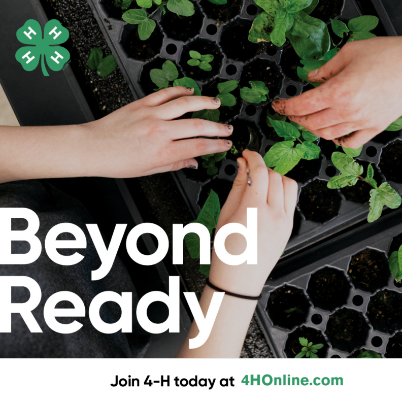 Close-up view of two pairs of hands planting small seedlings in a tray. The large white text overlay reads: "Beyond Ready." At the bottom, smaller text reads: "Join 4-H today at 4HOnline.com" with the 4-H clover logo visible in the top left corner