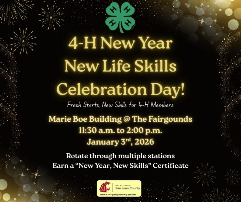 A festive black and gold event flyer for the '4-H New Year, New Life Skills Celebration Day!' on January 3rd, 2026. The event runs from 11:30 a.m. to 2:00 p.m. at the Marie Boe Building at The Fairgrounds. Text indicates members will rotate through stations to earn a certificate. Includes the WSU Extension San Juan County logo.