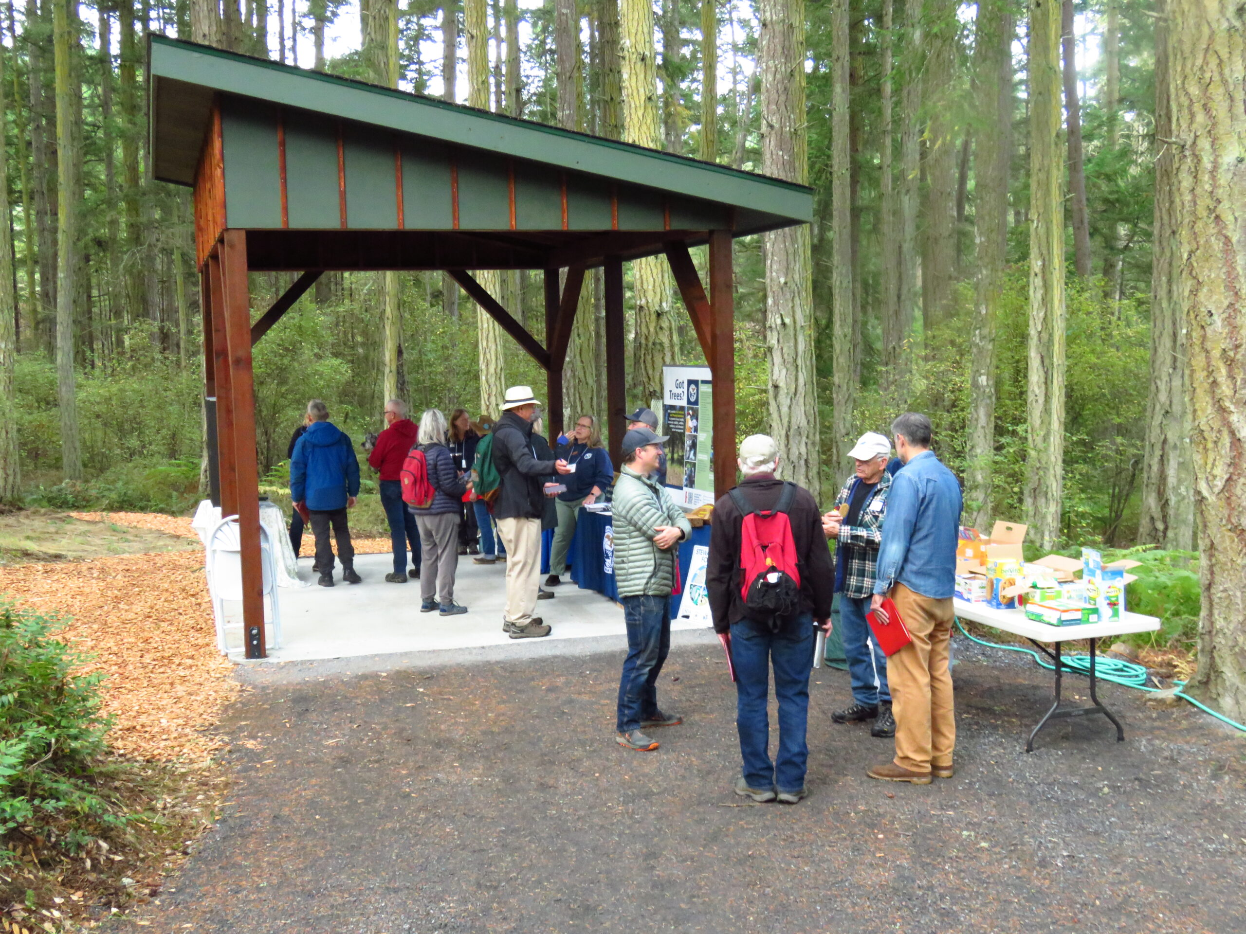 Group of people standing under and around forestry