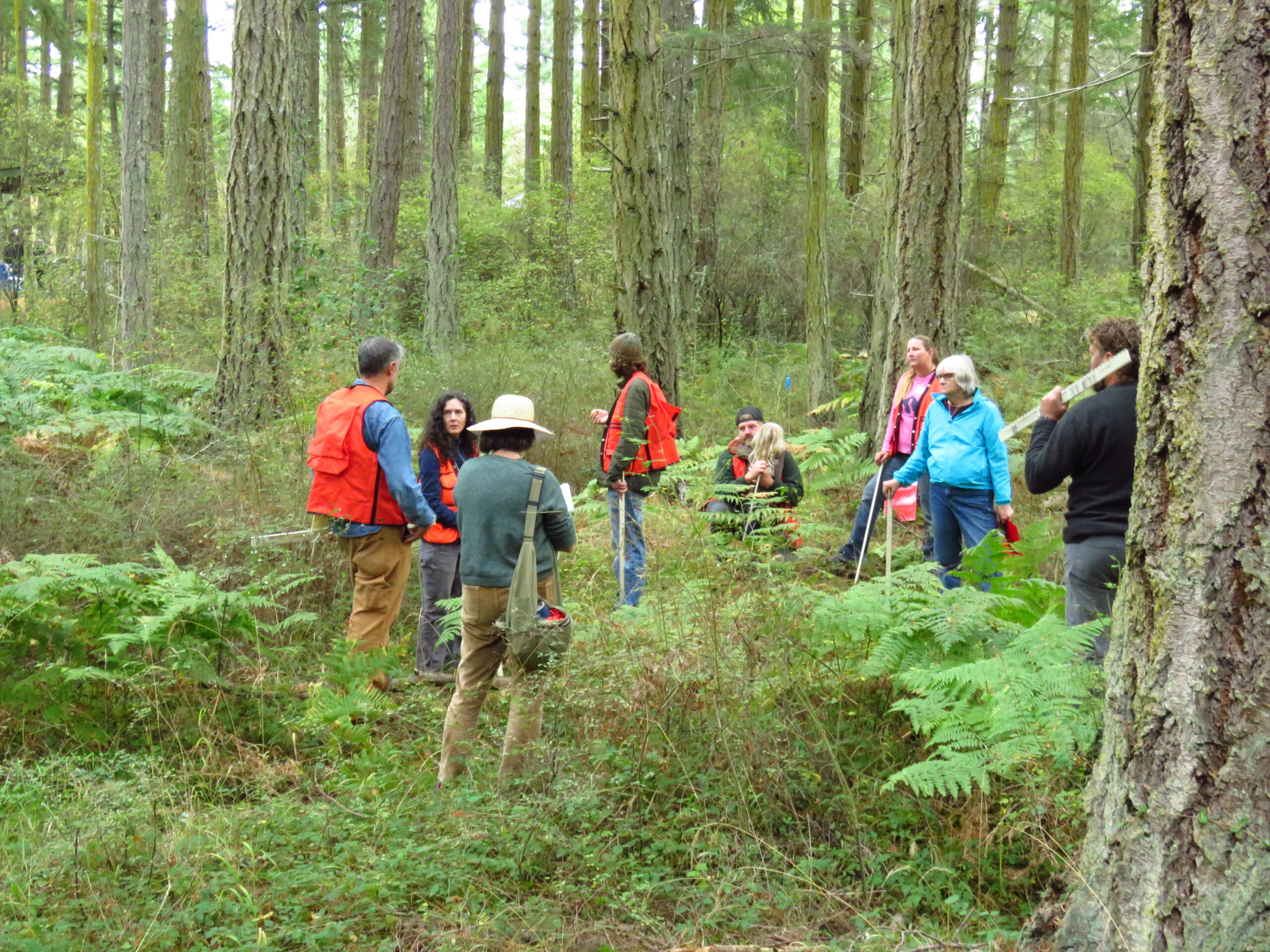 Group of people standing in the forest
