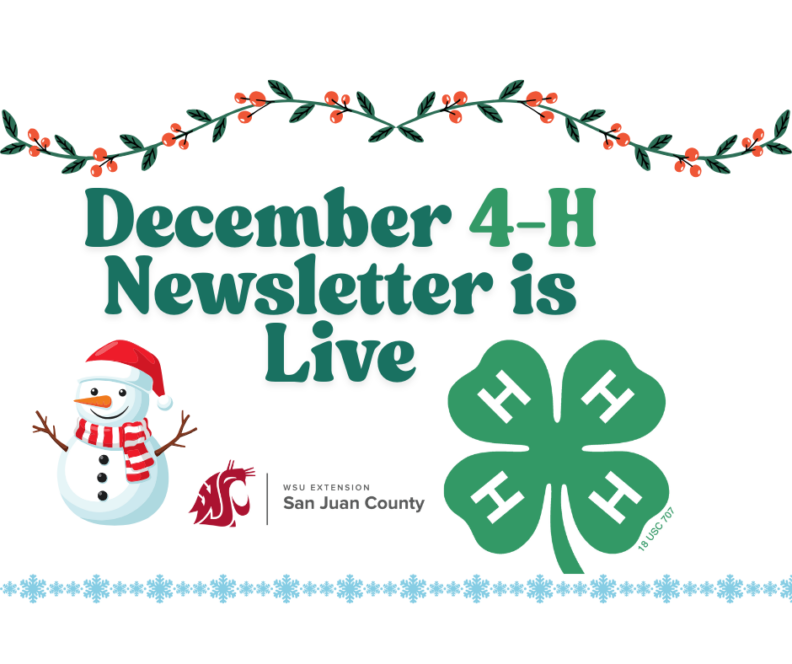 A festive graphic announcing 'December 4-H Newsletter is Live.' The image features a smiling snowman, a row of blue snowflakes, the WSU Extension San Juan County logo, and the traditional green 4-H clover.