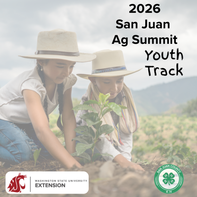 Promotional graphic for the 2026 San Juan Ag Summit Youth Track. Two children in sun hats plant a seedling in a field. Logos for WSU Extension and San Juan County 4-H are at the bottom.