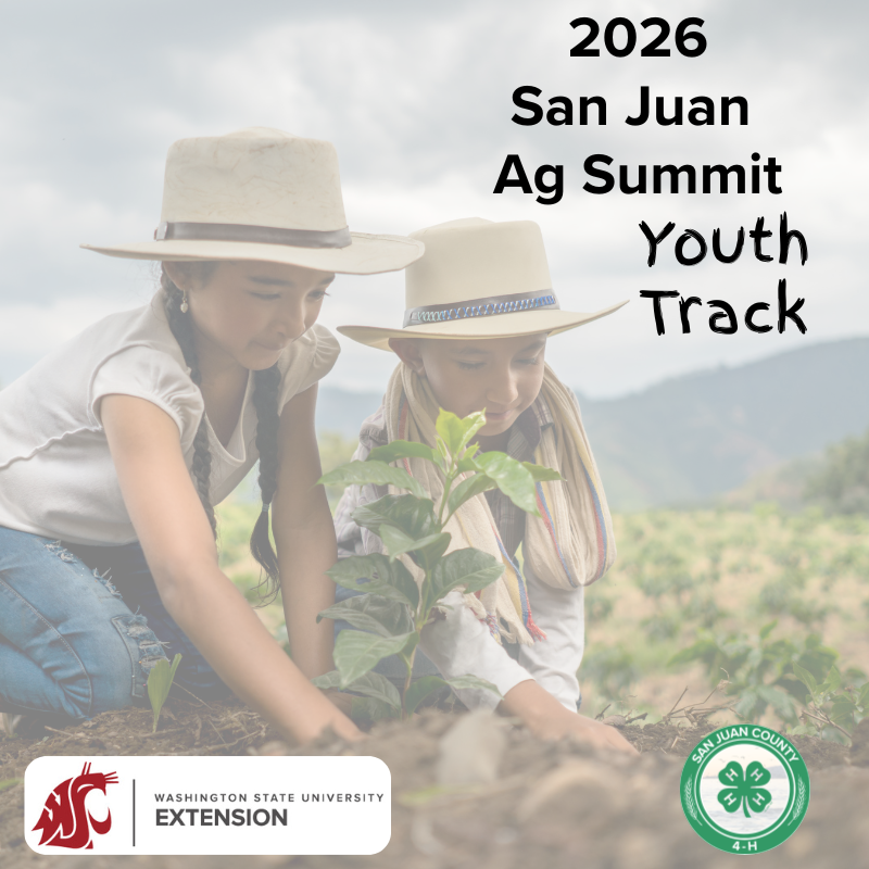 Promotional graphic for the 2026 San Juan Ag Summit Youth Track. Two children in sun hats plant a seedling in a field. Logos for WSU Extension and San Juan County 4-H are at the bottom.