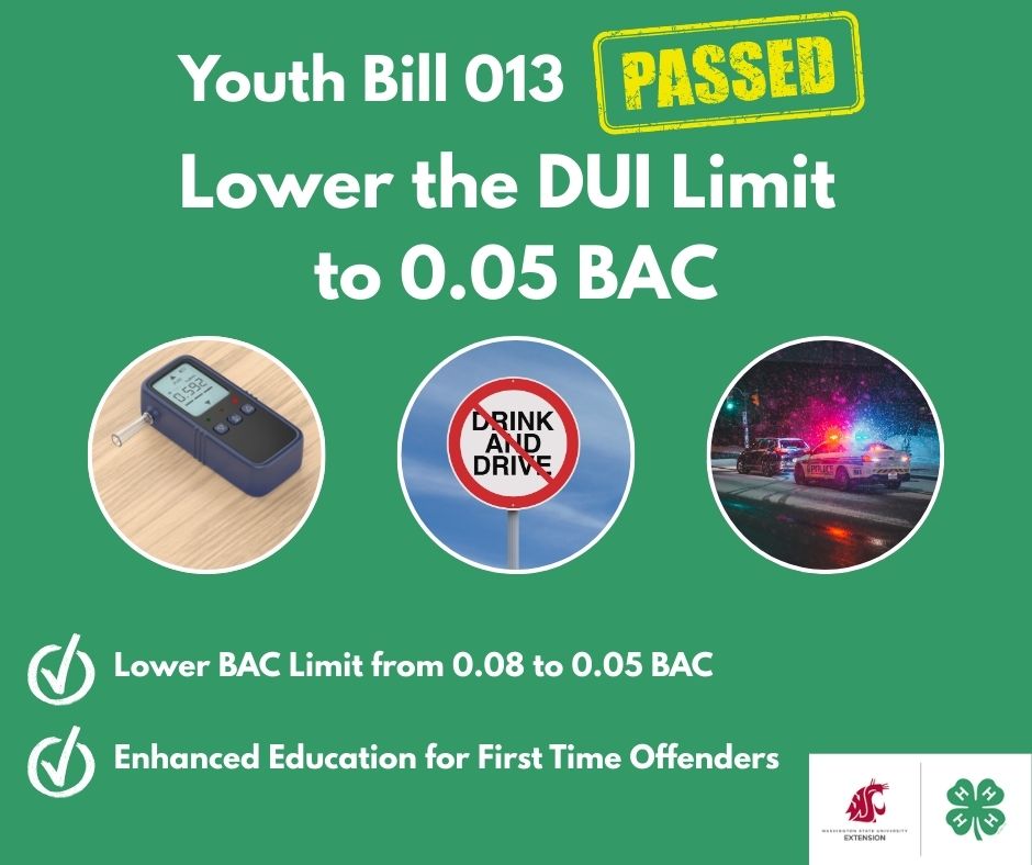 A green infographic titled "Youth Bill 013 PASSED: Lower the DUI Limit to 0.05 BAC." The image features three circular icons: a digital breathalyzer, a "Don't Drink and Drive" road sign, and a police car with flashing lights at night. Below, two checkmarks highlight the bill’s goals: lowering the BAC limit from 0.08 to 0.05 and providing enhanced education for first-time offenders.