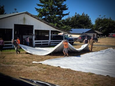 A group of people working together to fold or spread a large white vinyl tent canopy on a grassy field in front of a white barn and several parked vehicles.