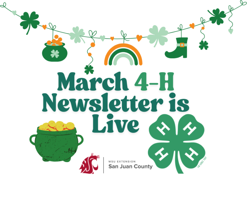 A St. Patrick’s Day-themed graphic featuring the text "March 4-H Newsletter is Live." The image is decorated with a pot of gold, a green 4-H clover, a rainbow, and a festive banner of clovers and hearts, along with the WSU Extension San Juan County logo.