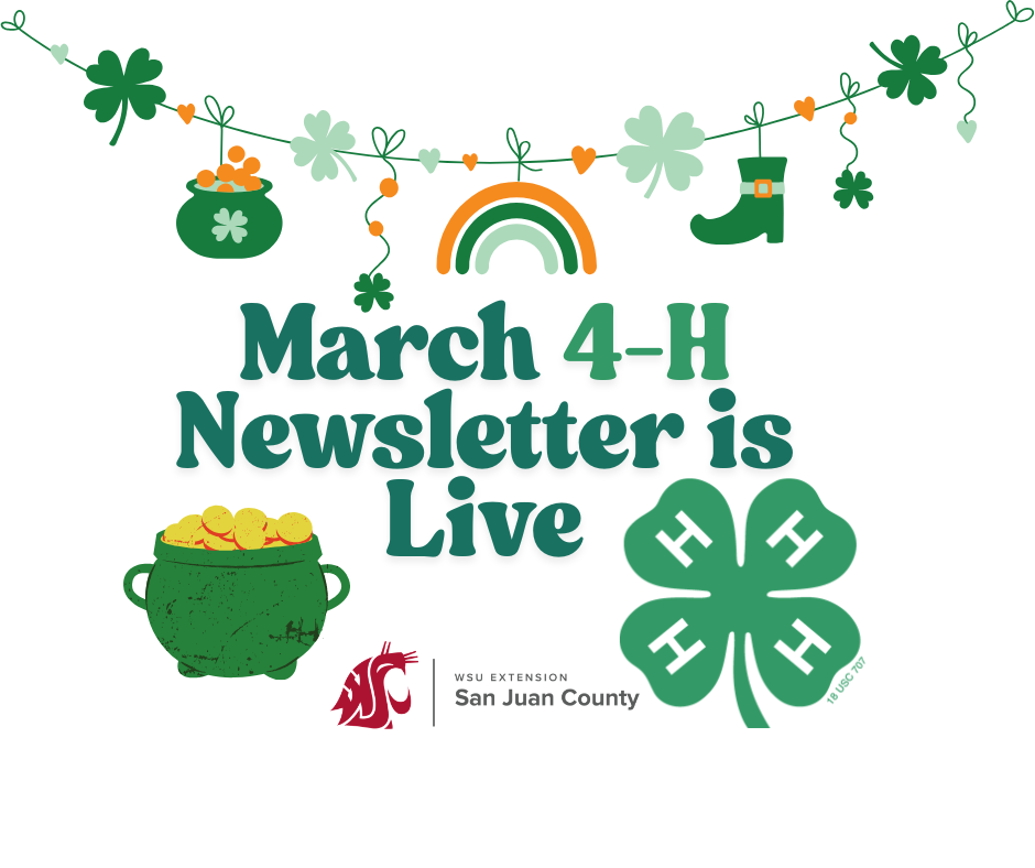 A St. Patrick’s Day-themed graphic featuring the text "March 4-H Newsletter is Live." The image is decorated with a pot of gold, a green 4-H clover, a rainbow, and a festive banner of clovers and hearts, along with the WSU Extension San Juan County logo.