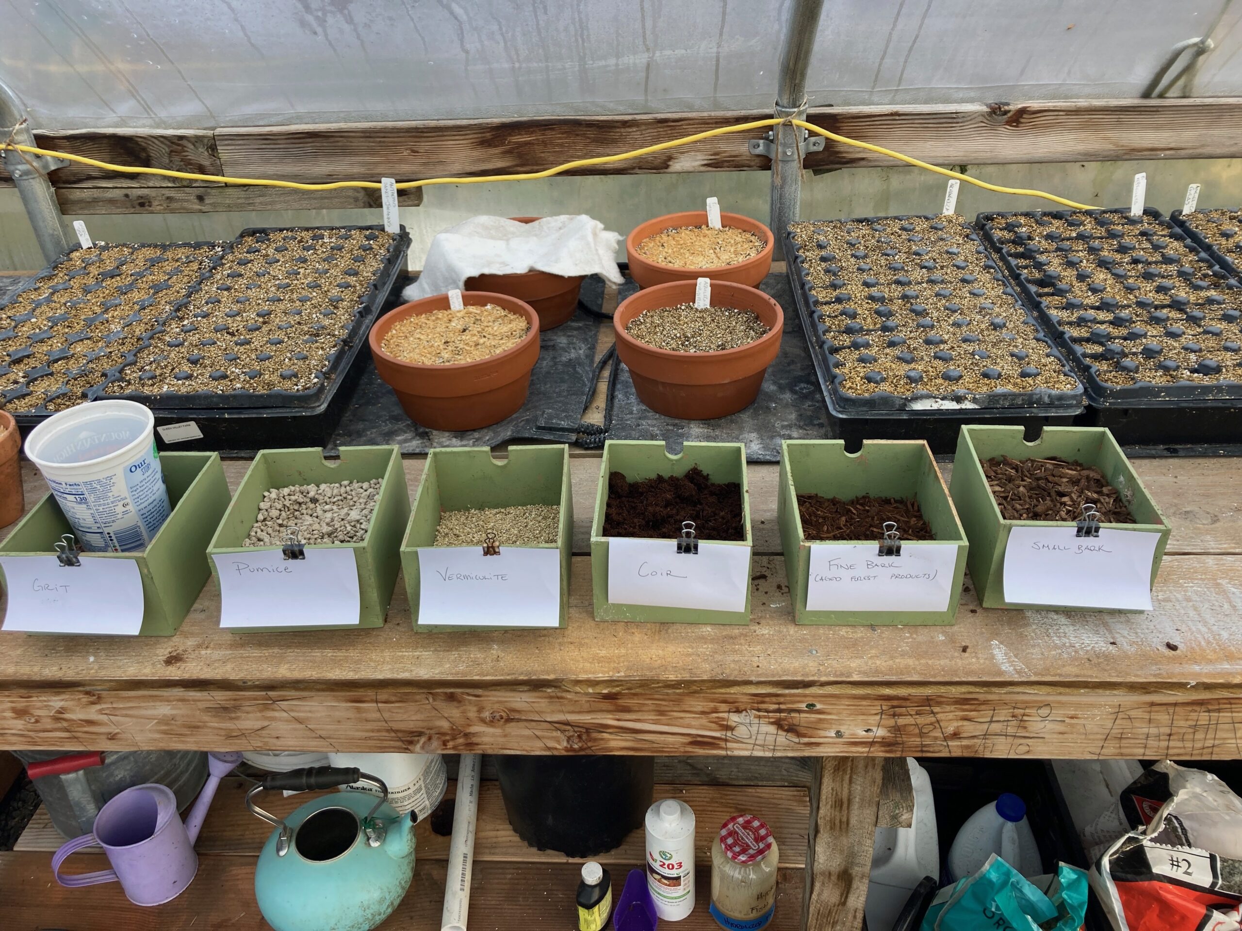 Containers of seeds separated and labeled
