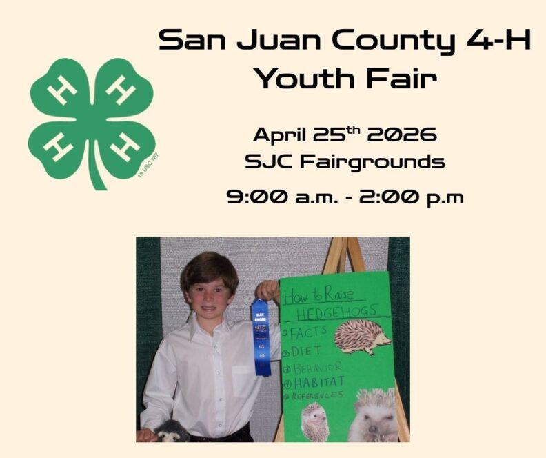 An image promoting the San Juan County 4-H Youth Fair on April 25th, 2026, from 9:00 a.m. to 2:00 p.m. at the SJC Fairgrounds. The flyer features the green 4-H clover logo and a photo of a young boy holding a blue ribbon next to his educational poster titled "How to Raise Hedgehogs."