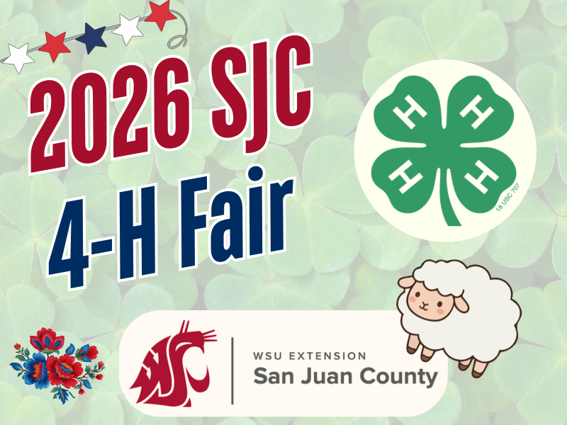 Event poster for the 2026 SJC 4-H Fair, featuring the WSU Extension San Juan County logo, a green 4-H clover, and a cute cartoon sheep over a background of clover leaves.