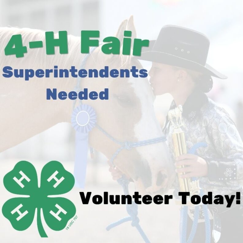Volunteer recruitment flyer for 4-H Fair Superintendents featuring the 4-H clover logo and the text "Volunteer Today!" The background shows a young girl in a cowboy hat holding a trophy and kissing her horse, which is wearing a blue award ribbon.