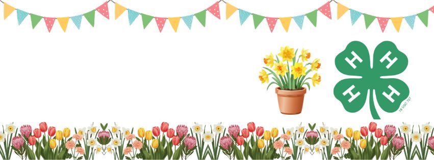 Spring-themed header featuring a 4-H logo, a pot of daffodils, floral borders, and colorful bunting.