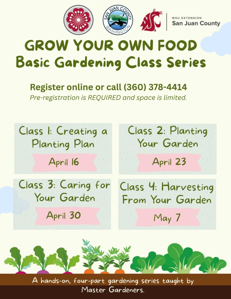 Event flyer for a four-part "Grow Your Own Food" gardening class series running from April 16 to May 7. Taught by Master Gardeners. Full schedule and registration phone number (360-378-4414) are listed in the page text.