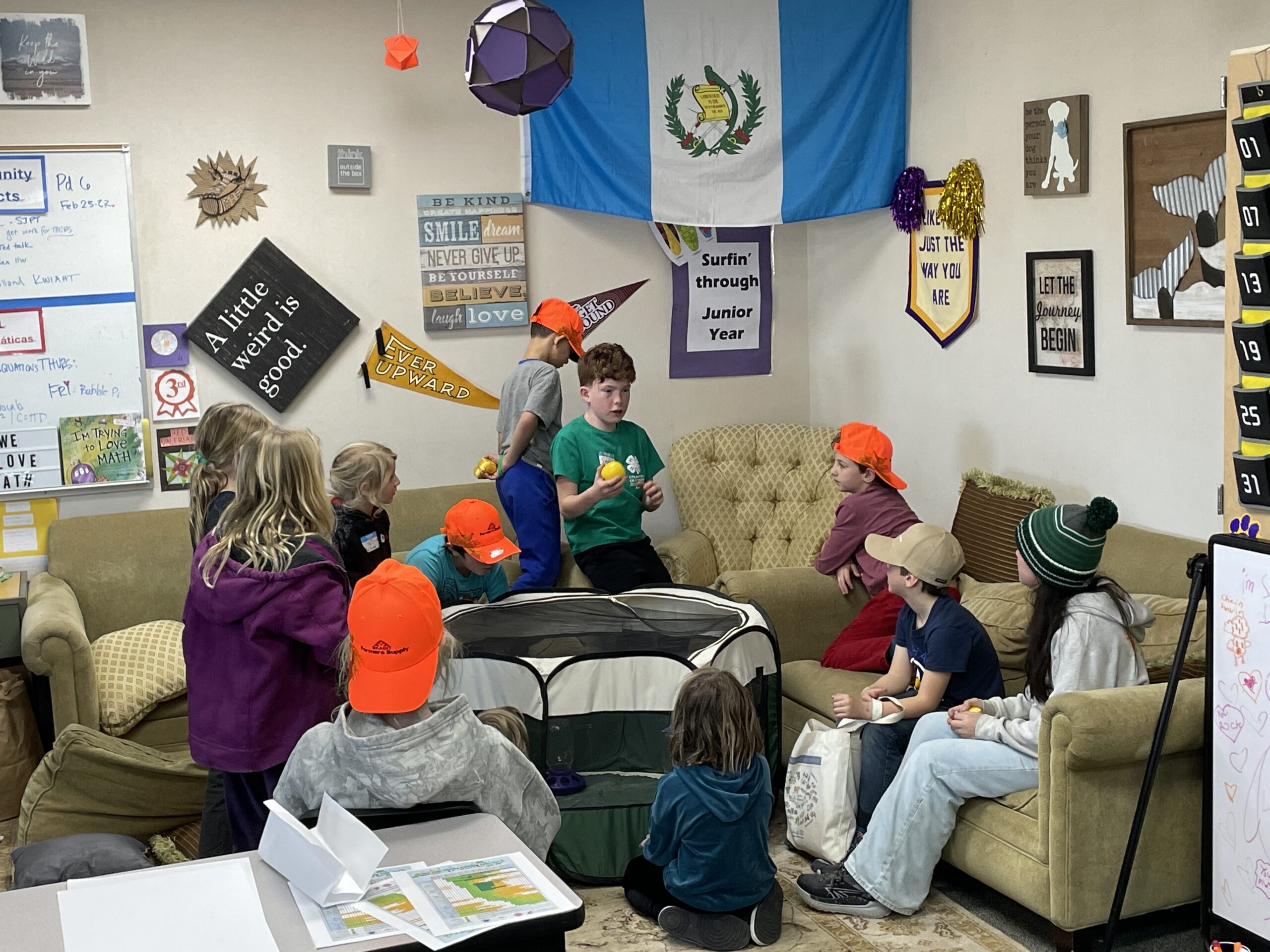 In a cozy classroom corner with tan couches and a Guatemalan flag on the wall, a group of about ten children are gathered. Several wear bright orange hats. In the center, a young boy in a green 4-H t-shirt sits on the back of a couch, holding a yellow object and speaking to the group. In front of them sits a small, black-and-white mesh portable pet playpen used as a brooder.