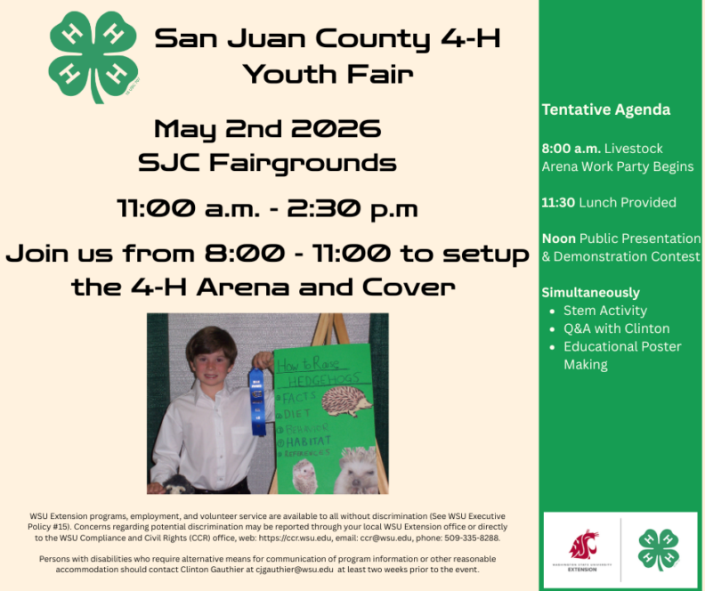 Promotional flyer for the San Juan County 4-H Youth Fair on May 2nd, 2026, at SJC Fairgrounds from 11:00 a.m. to 2:30 p.m. Includes a photo of a boy with a hedgehog project and a tentative agenda: 8:00 a.m. Arena Work Party, 11:30 Lunch, Noon Public Presentations, and simultaneous STEM activities and poster making.